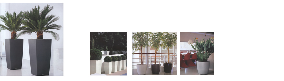 Hydrokultur und Erdhydrosysteme f&uuml;r Ihre R&auml;ume.