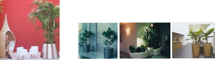 Raumbegr&uuml;nung in B&uuml;ro, Kanzlei, Praxis, Krankenh&auml;usern und Kliniken - erh&ouml;hen das Wohlbefinden.