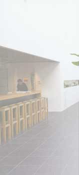 Wohlf&uuml;hlen mit Pflanzen. Ob im B&uuml;ro, dem Einkaufscentrum, dem Foyer, der Kanzlei.