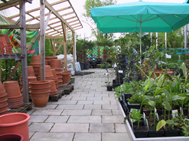 K&uuml;bel, gesunde Pflanzenerde - f&uuml;r jeden Pflanzentyp. Unser Fachpersonal ber&auml;t sie gerne und kompetent.