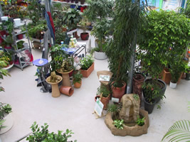 Hydrokultur und Wasserspiele. Eine st&auml;ndig wechselnde Ausstellung finden Sie in unserem Pflanzenparadies.