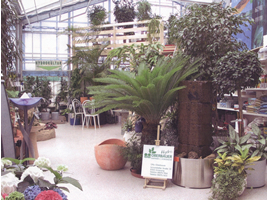 Wasserspiele und mediterrane Pflanzen für Ihren Garten, die Terasse oder den Balkon.