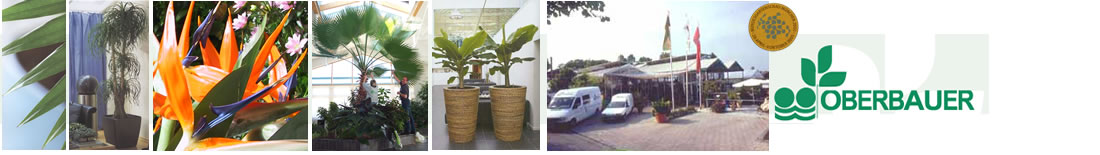 Willkommen bei Ihrem Raumbegr&uuml;ner Oberbauer aus Amerang. 